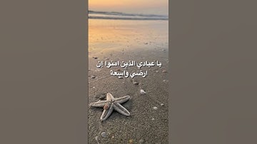 سورة هادئة 🤍سورة العنكبوت 🤍يا عبادي الذين امنوا ان ارضي واسعة⭐️