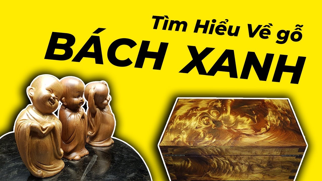 Tìm hiểu gỗ Bách Xanh ?
