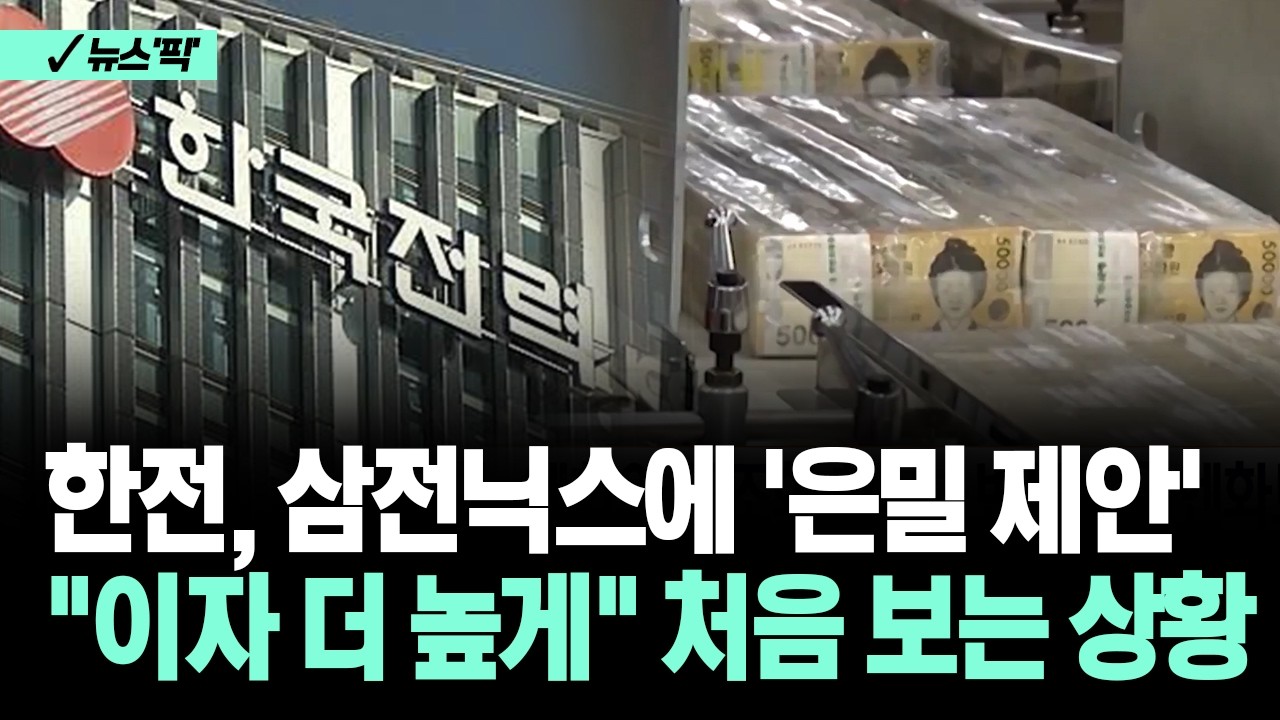 [뉴스'픽'] 한전, 삼전닉스에 '은밀 제안' "이자 더 높게" 처음 보는 상황