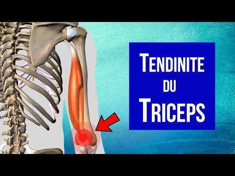 Vidéo: Lorsque vous fléchissez le coude, le triceps est le ?