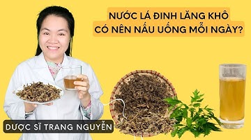 Có nên nấu nước lá đinh lăng khô uống mỗi ngày để tốt cho sức khỏe?
