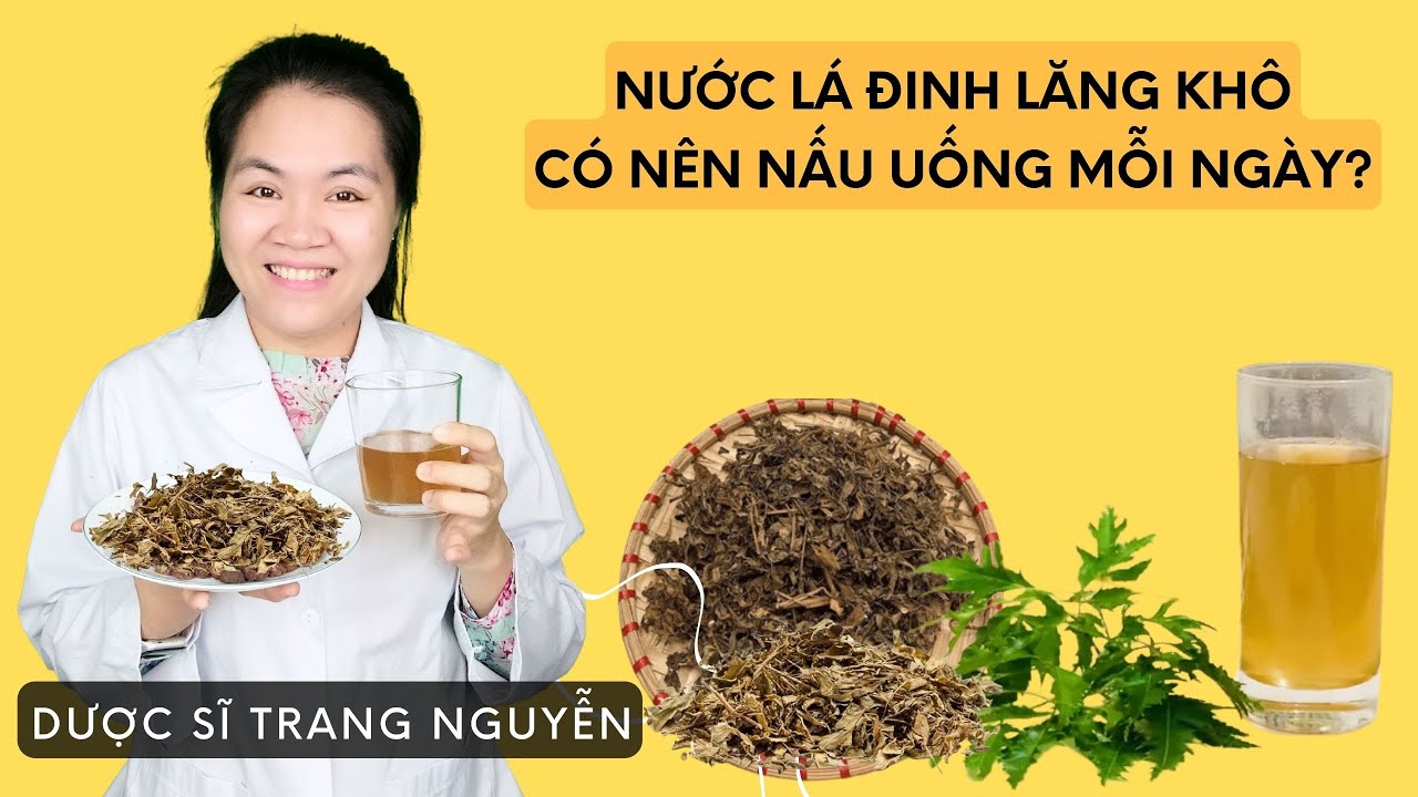 Có nên nấu nước lá đinh lăng khô uống mỗi ngày để tốt cho sức khỏe?
