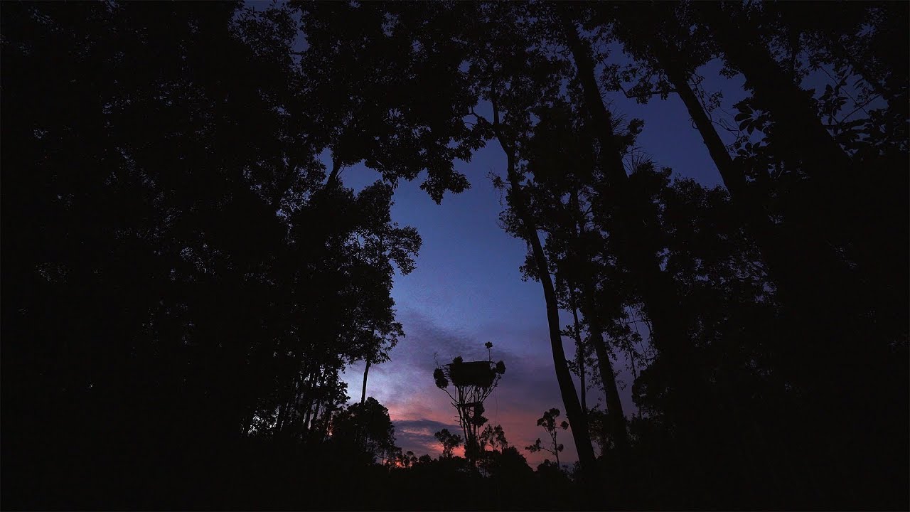 West Papua | mit Markus Mauthe (teaser)