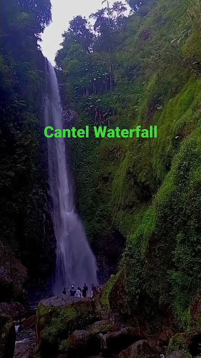 CURUG CANTEL#short #shotvidio #curug #wisataalam #wisata #wisataindonesia