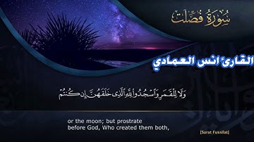 القارئ البحريني أنـس بن عيسى العمــادي _ سوره فصلت