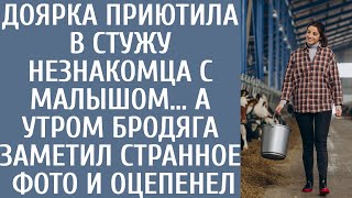 Доярка приютила в стужу незнакомца с малышом… А утром бродяга заметил странное фото и оцепенел…