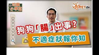 【#哈寵PETube】 第131集 狗狗腸胃疾病篇 feat.朱道南醫師
