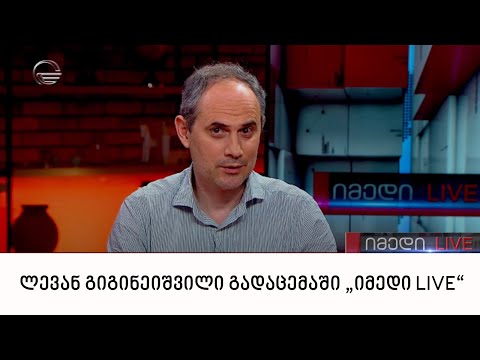 ფილოლოგი, პროფესორი ლევან გიგინეიშვილი გადაცემაში „იმედი LIVE“