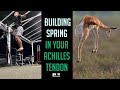 How I Turned My Achilles Tendon Into a SPRING Like a Gazelle!