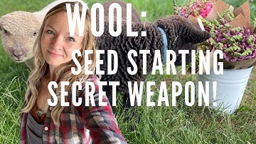 Wool: Your Seed Starting Secret Weapon! (wool pellet soil block recipe)