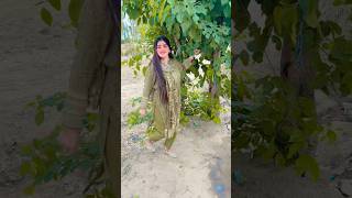 Hiko Dhola Bachai Wadan Wajid Ali Baghdadi x Nisha Khan |Sanam khan dancer|Best Saraiki Song#Wajid