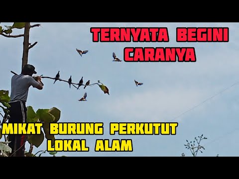 Video: Kami Menghemat $ 11.650 dengan Melemparkan Penerimaan Kami Beberapa Bulan Setelah Pernikahan Kami