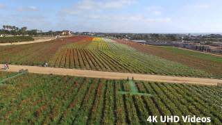 Quadcopter Recording In 4K UHD - 4K UHD Videos