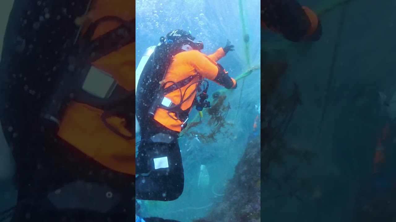 🌊 Ghost Diving Korea &mdash; Underwater Cleanup at Munseom Island, Jeju