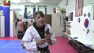 Tiny Tigers Taekwondo: Chapter 1