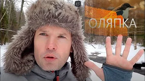 Как выглядит оляпка или водяной воробей? Каких редких птиц можно встретить в Линдуловской роще?