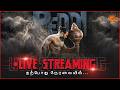 🔴LIVE: PEDDI Audio Launch | Ram Charan | Buchi Babu Sana | Janhvi Kapoor | A R Rahman | Sun News