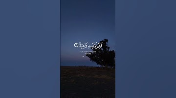 مجاهد الخالدي - سورة الحاقة