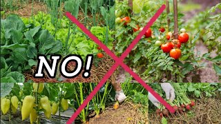 Never plant these plants next to each other  you must know this!