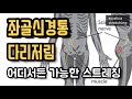 좌골신경통, 다리저림 이 영상 하나로 어디서든 가능합니다