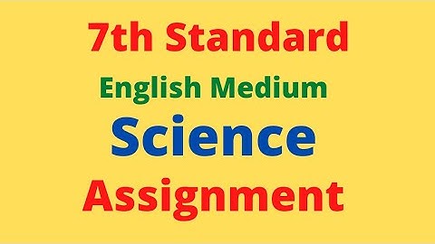 7th Science  Assignment English Medium
