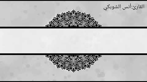 سورة الزلزلة القارئ انس الشوبكي