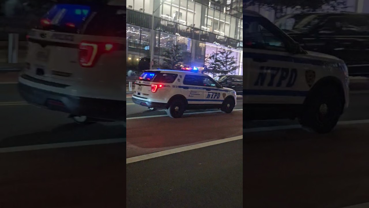 NYPD Critical Response Command K9 Passing By On West 34th Street In Hudson Yards, Manhattan, NYC