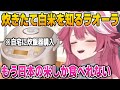 炊きたての白米を知ってもう戻れなくなるラオーラ【英語解説】【日英両字幕】