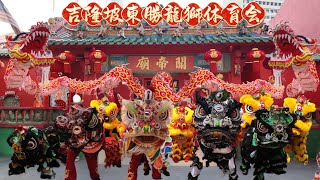 LION DRAGON DANCE @Guan Di Temple Chinatown 茨廠街关帝庙 | 吉隆坡東勝龍獅体育会 | #帅旗 #麒麟 #祥龍 #勝头 #点晴仪式 #帅旗升起风生水起