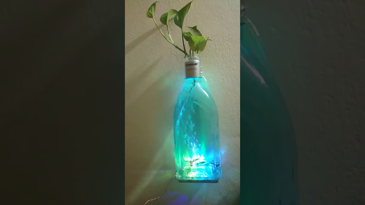 How to make a wine bottle aquarium YouTube