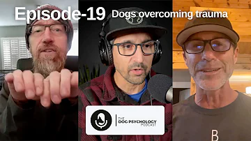 The Dog Psychology Podcast Episode #019 Dogs overcoming trauma