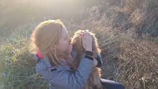 Where we found the poor dog by Leni Grooming 1,079 views 3 months ago 41 seconds