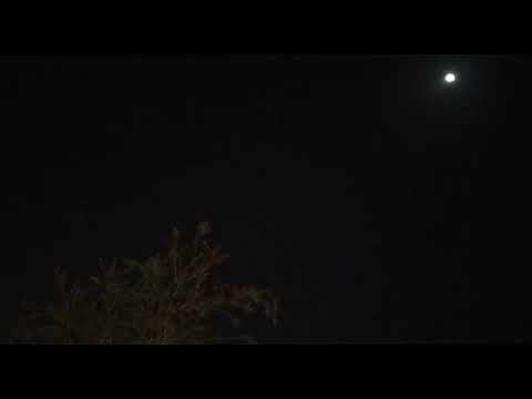 تذكر حينما تطوى وحيدا الشيخ أحمد بن علي العجمي