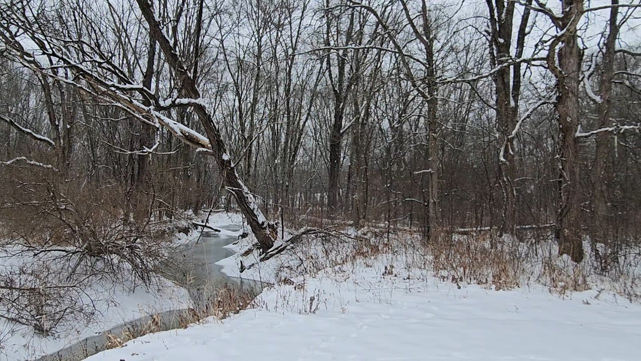 Winter wonderland walking motivation ✨️ Not quiet but pretty 