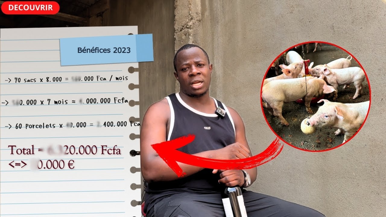 💶💵Voici combien vous gagnez RÉELLEMENT avec l'élevage de porc / Stratégies & Rentabilité