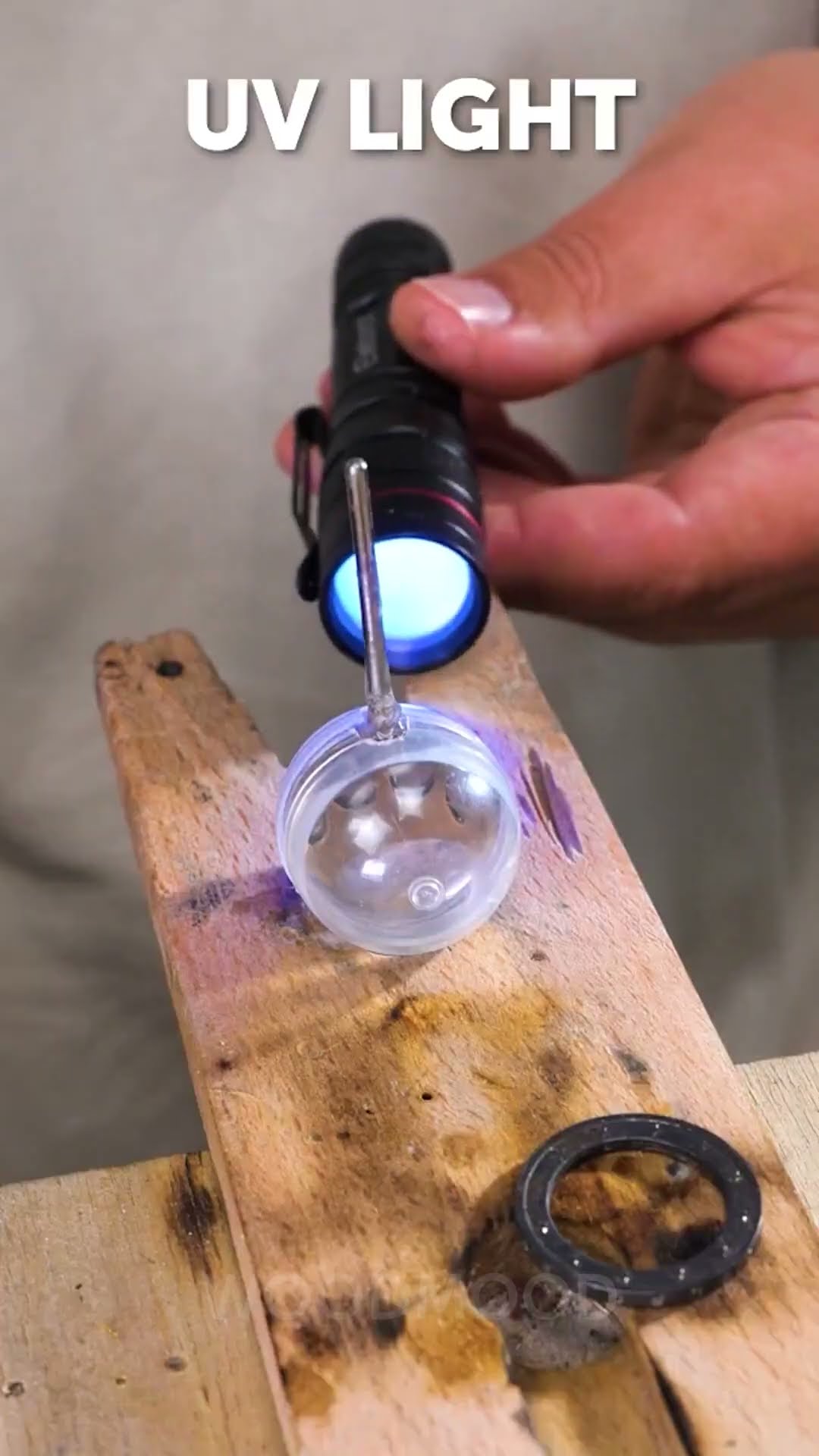 Create a Purrfect Coin Pendant for Your Cat!