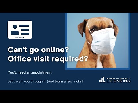 How to make an appointment at a driver licensing office