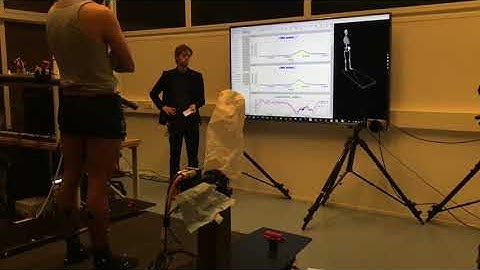 Real-time EMG-driven model-based estimation of leg muscle forces and joint moments