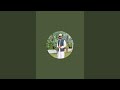 Quran Kareem Live #Quran #makkah #madinah #morningadhkar
