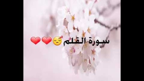 سورة القلم الابذكر الله تطمئن القلوب❤❤