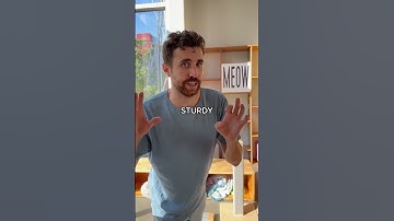 Best cat scratcher for your cat? Find out now