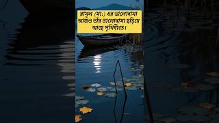 রাসূল (সা.) আমাদের জন্য কেঁদেছেন 💧 | Prophet Muhammad (SAW) Love For Ummah | Islamic Shorts | Emotio