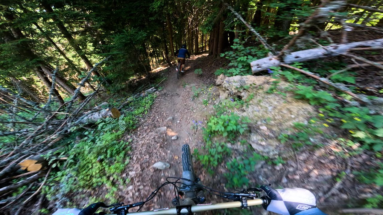 The Alpe D'Huez MTB Trail Nobody Rides..