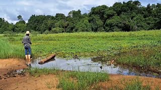 ILHA DO JACARÉ , PEGAMOS MUITOS PEIXES E FIZEMOS FRITO AQUI NA BEIRA DO RIO/PESCARIA RAIZ DE TRAÍRA.