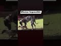 Mission Impossible Funnyshorts Shorts 