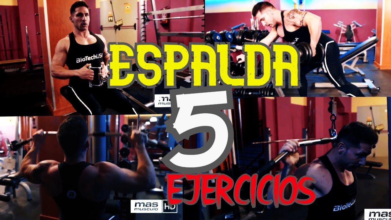 [ESPALDA] - Los mejores EJERCICIOS para ENSANCHAR ESPALDA en el GYM 🏋️💪 ...