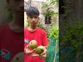 Ông nội tội nghiệp và Em bé dễ thương Rất buồn cười OBJ🍒🍓🍉🍎#cute#shortsfeed62 Likes20,623 Views