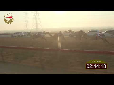 سباق الحقاقة سيف العرب 24 10 2025 ش8 الدنقلاوي ل عبدالله حميد غاسي سعيد العمري 4 32