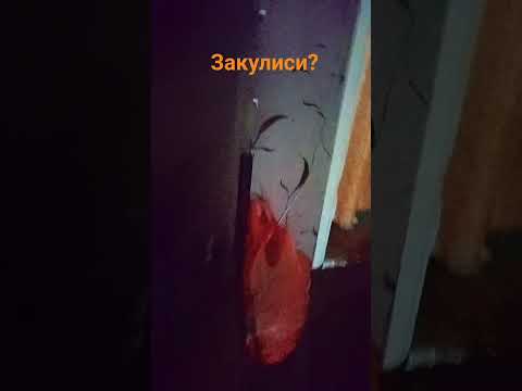 20 июля 2026 г.