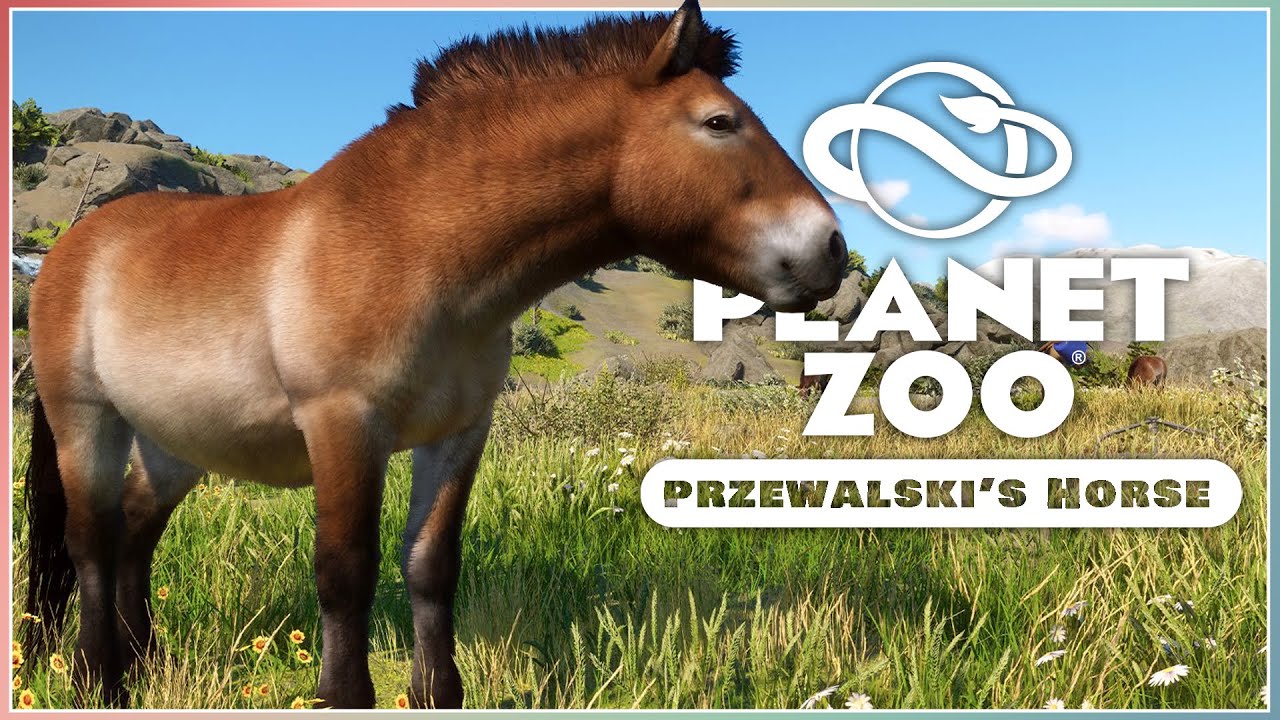 Zoo Conservation Pack ubicaciondepersonas.cdmx.gob.mx